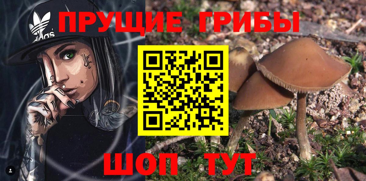 Галлюциногенные грибы мухоморы  Вход с VPN  Киржач 